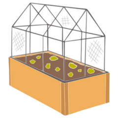 Glass Greenhouse with Young Cabbage and Salad Plants Sticker