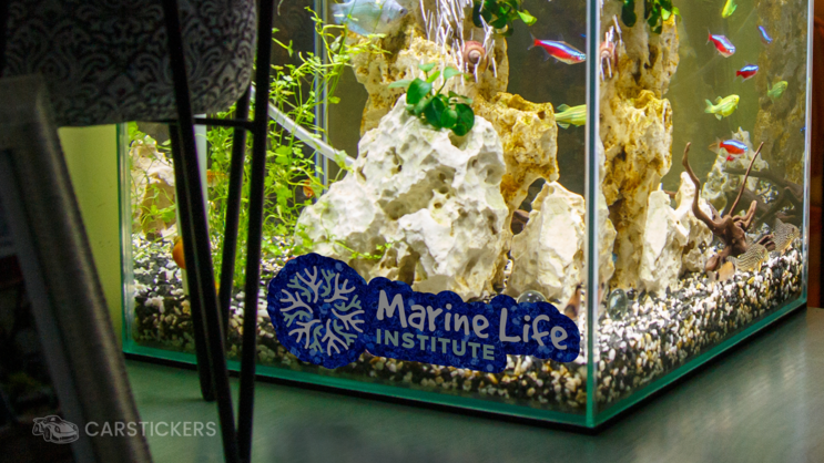 Glitter Sticker on Aquarium