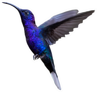 Glittering Blue Hummingbird Sticker
