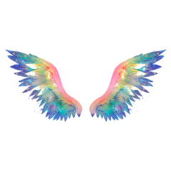Glittery Rainbow Wings,Watercolor Sticker