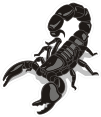 Glossy Black Scorpion Sticker