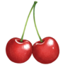 Glossy Cherries Sticker