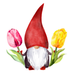 Gnome With Tulip Netherland Flowers Watercolor Sticker