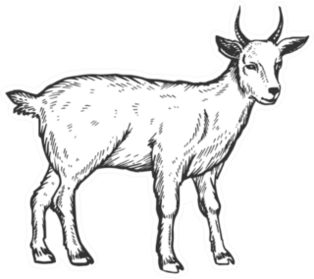 Goat Stickers & Decals | Free Shipping