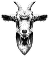 Goat Head Black And White Sketch Sticker