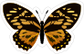 Gold and Black Butterfly Sticker