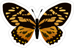 Gold and Black Butterfly Sticker