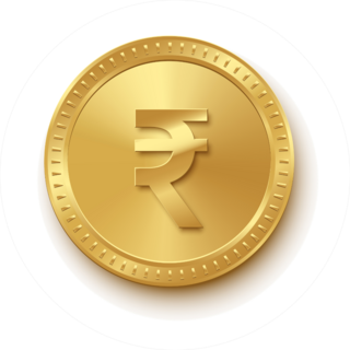 Gold Rupee Sticker