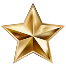 Gold Star Badge Sticker