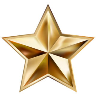 Gold Star Badge Sticker