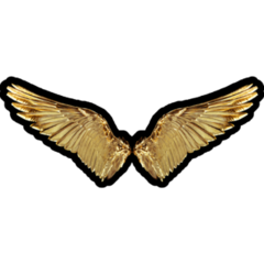Golden Angel Wings Sticker