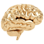 Golden Brain Sticker