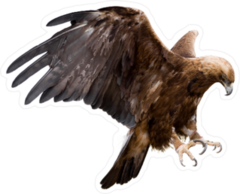 Golden Eagle With Spread Wings Sticker