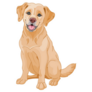 Golden Lab Sit And Smile Sticker