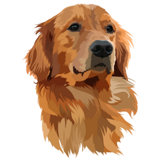 Golden Labrador Head Sticker