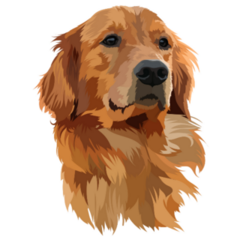 Golden Labrador Head Sticker