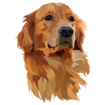 Golden Labrador Head Sticker