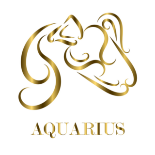 Golden Line Art Aquarius Sticker