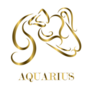 Golden Line Art Aquarius Sticker