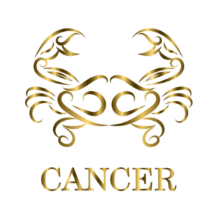 Golden Line Logo Of A Cancer Crab Sticker