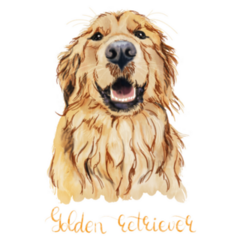 Golden Portrait Text Sticker