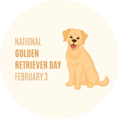 Golden Retriever Day Sticker