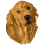 Golden Retriever Drawing Sticker