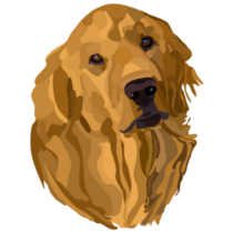Golden Retriever Drawing Sticker