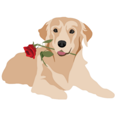 Golden Retriever Rose Sticker