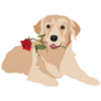 Golden Retriever Rose Sticker