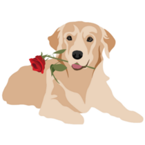 Golden Retriever Rose Sticker