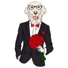 Golden Retriever Tuxedo Sticker