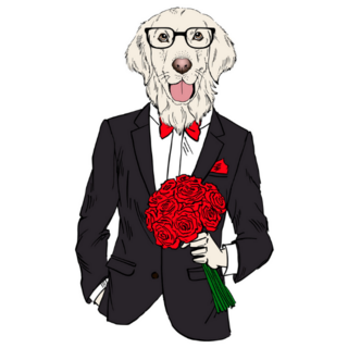 Golden Retriever Tuxedo Sticker