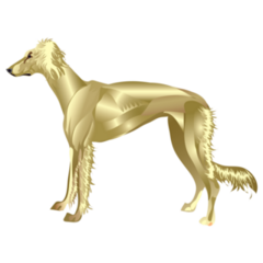 Golden Saluki Sticker