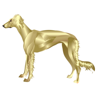 Golden Saluki Sticker