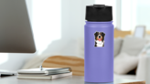 Goofy Bernese Mountain Dog Sticker on a Water Bottle (New) example