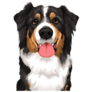 Goofy Bernese Mountain Dog Sticker