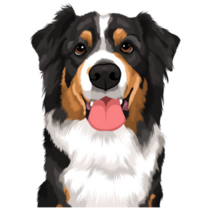 Goofy Bernese Mountain Dog Sticker