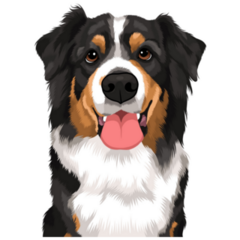 Goofy Bernese Mountain Dog Sticker