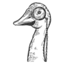 Goose In Monocle Sticker