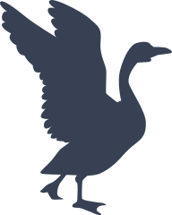 Goose Landing Sticker