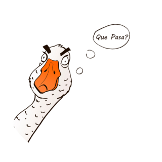 Goose Que Pasa Sticker