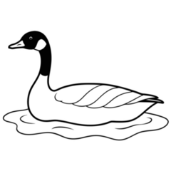 Goose Swimming Sticker