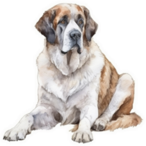 Gorgeous Bernard Sticker