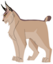 Gorgeous Cartoon Bobcat Sticker
