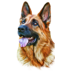 Gorgeous German Shepherd Sticker