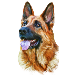 Gorgeous German Shepherd Sticker