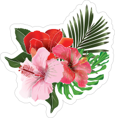Gorgeous Hibiscus Flower Trio Sticker