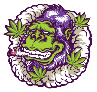 Gorilla Smoking Weed Sticker