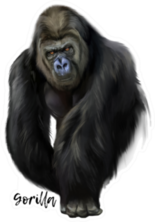 Gorilla Watercolor Painting Sticker